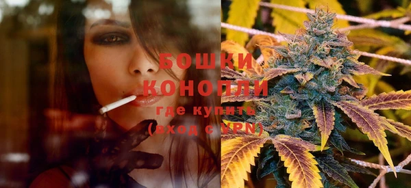 PSILOCYBIN Медвежьегорск
