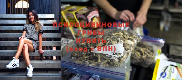 сатива Надым