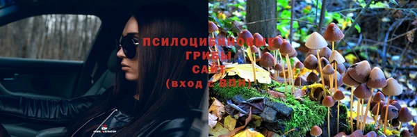бошки Новочеркасск