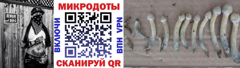 Галлюциногенные грибы прущие грибы  Карабаново 